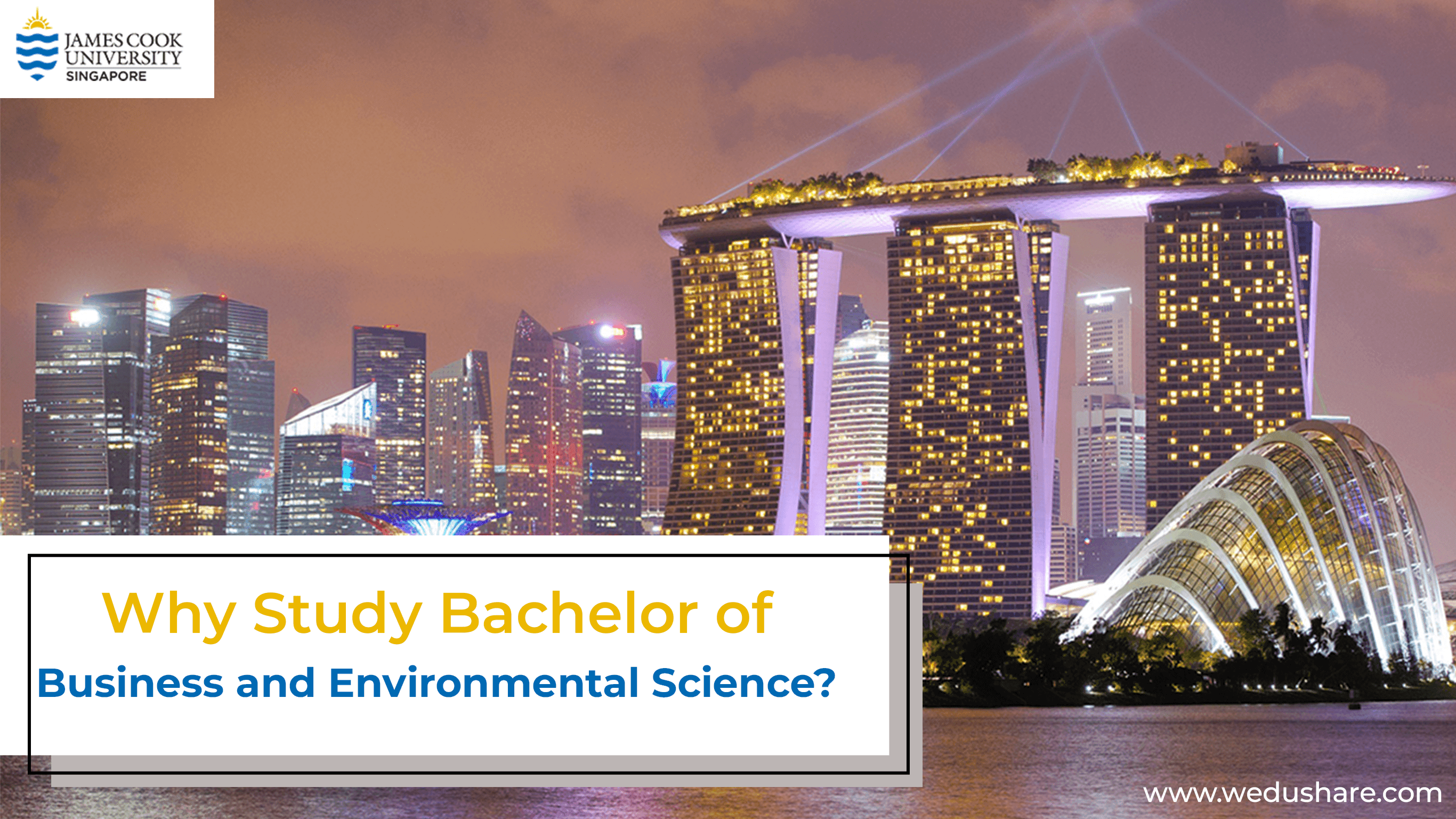 Why Students Should Study Bachelor of Business and Environmental Science