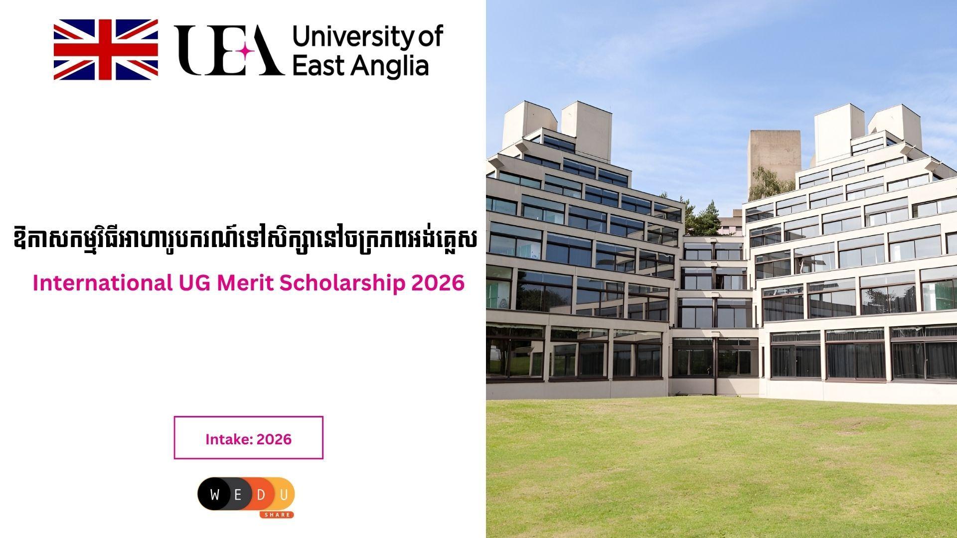 International UG Merit Scholarship 2026