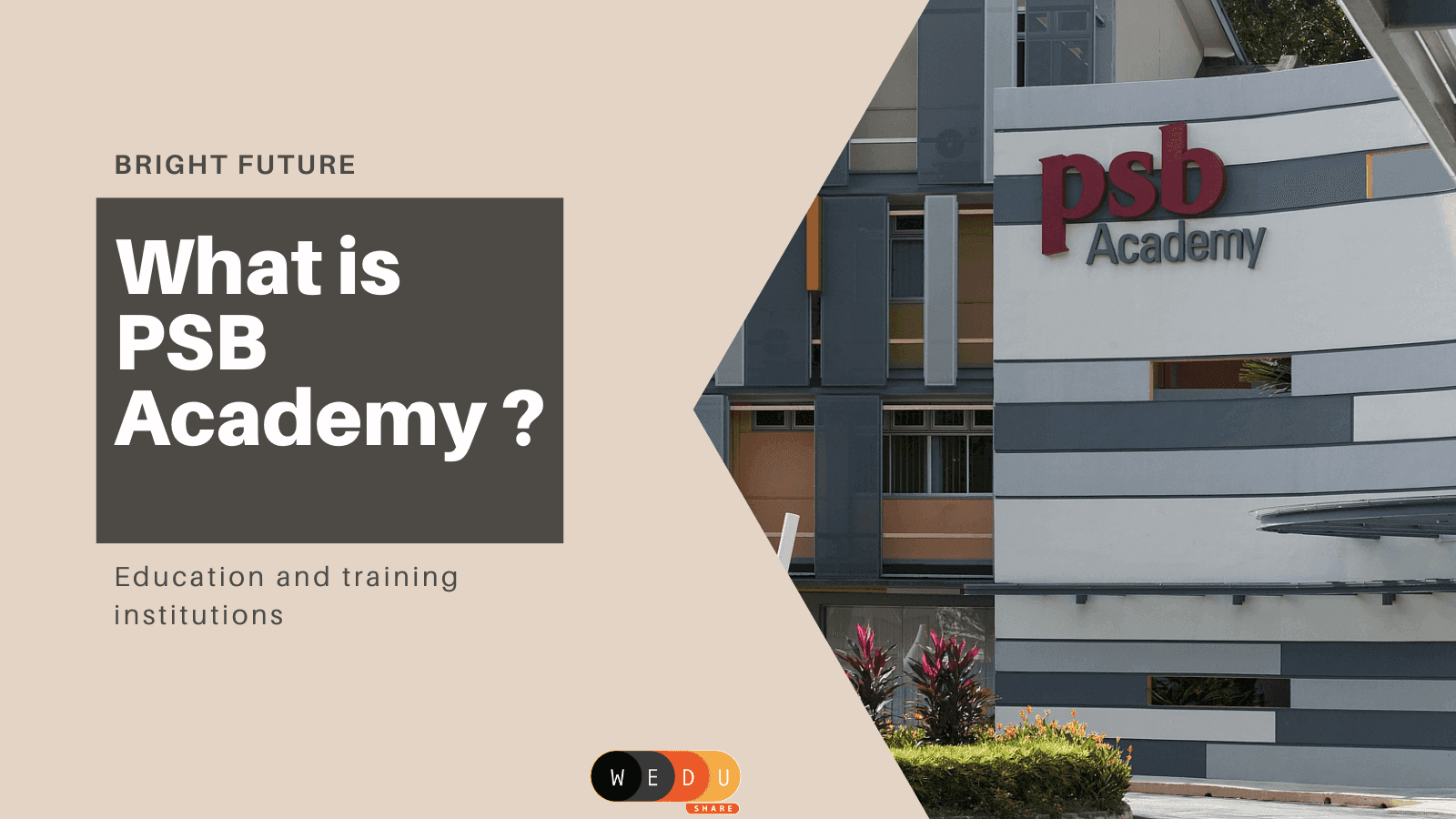 What is PSB Academy?