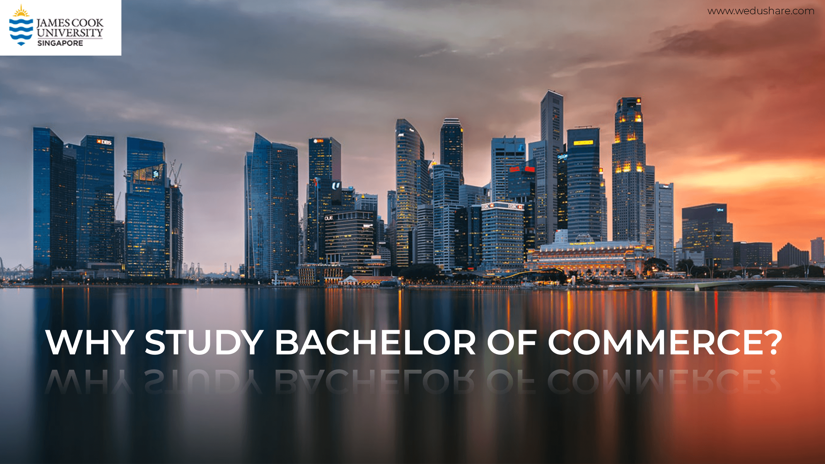 Why students should study bachelor of commerce wedushare